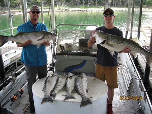 Nice Striped Bass